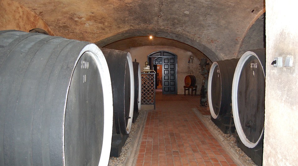 Cellar of the castle of Count Janković