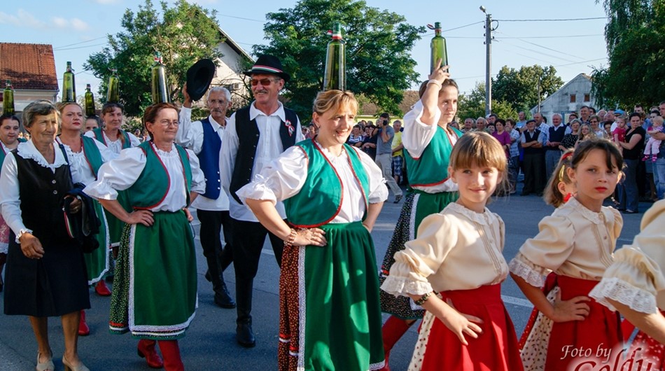 Dnevi češke kulture