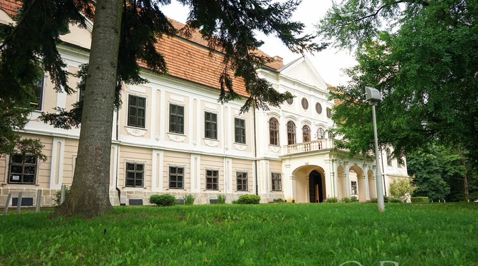 Dvorec Janković