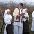The opening of the Daruvar wine route
