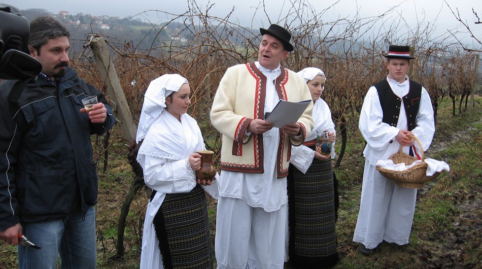 The opening of the Daruvar wine route
