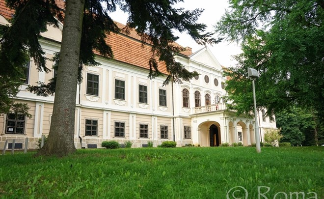 Dvorac Janković