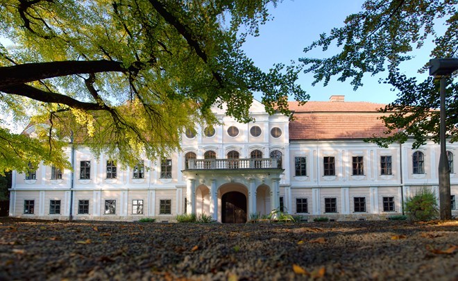 Castle of count Janković