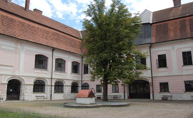 Castle of count Janković