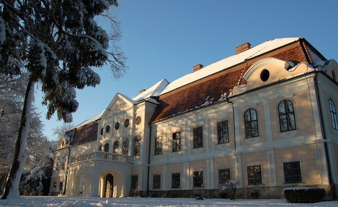 Castle of count Janković