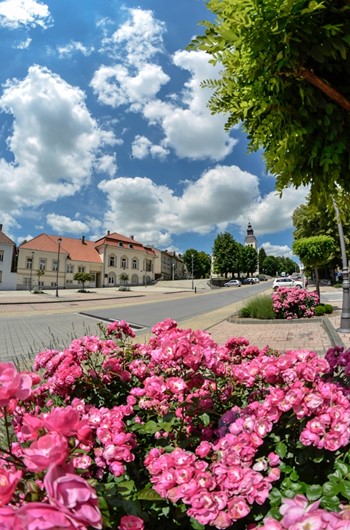 Daruvar