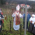 Daruvarska vinska cesta
