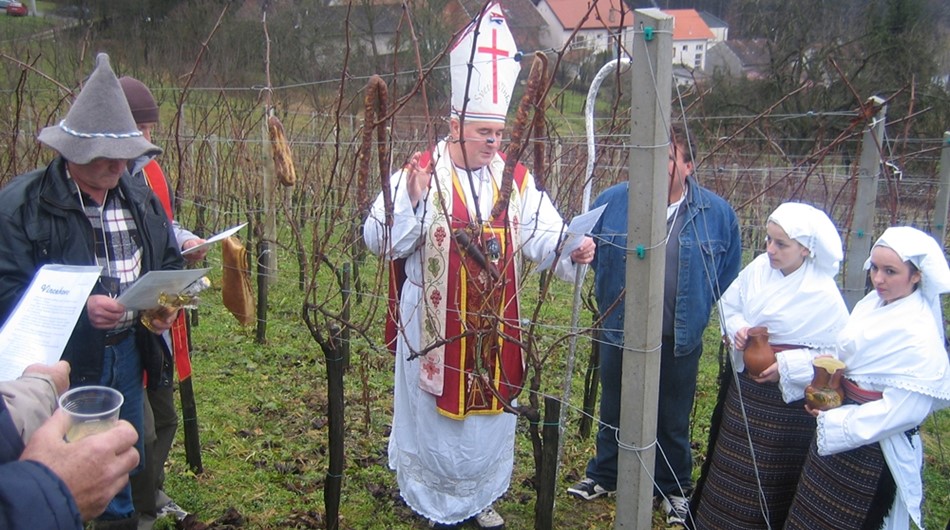 Daruvarska vinska cesta