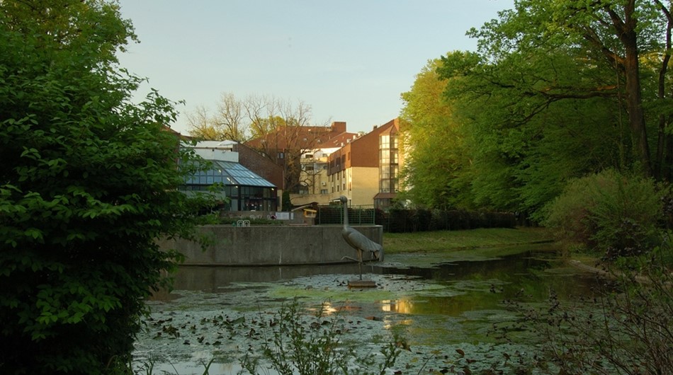Daruvarske toplice
