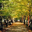 Daruvarske toplice