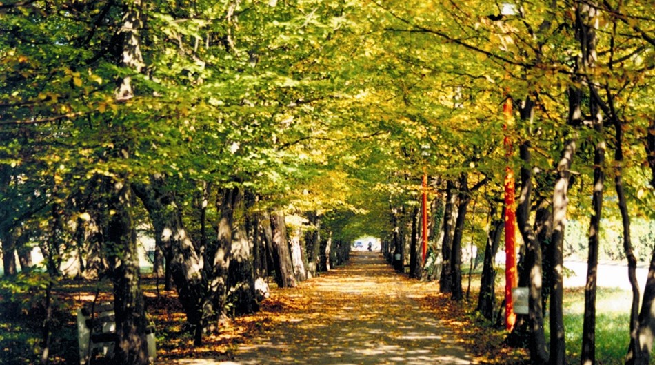 Daruvarske toplice