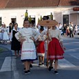 Dnevi češke kulture