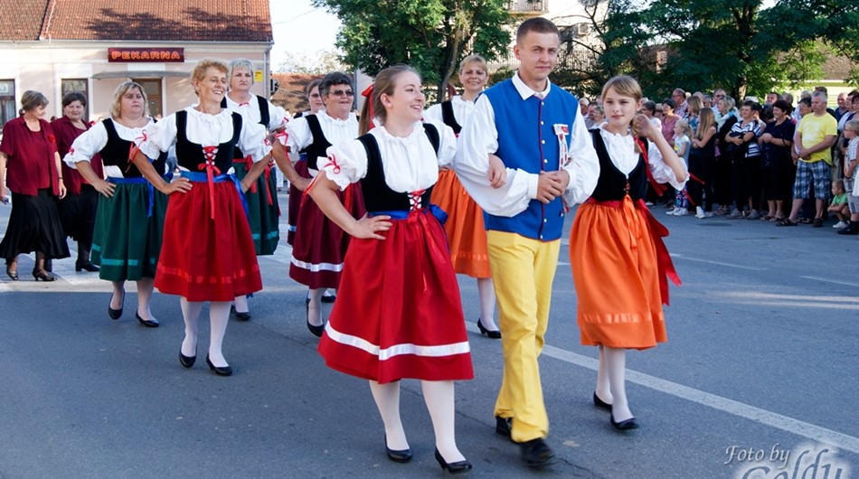 Dnevi češke kulture