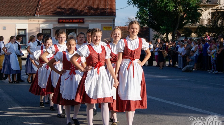 Dnevi češke kulture
