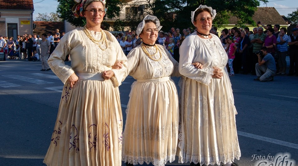 Dnevi češke kulture