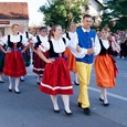 Dnevi češke kulture