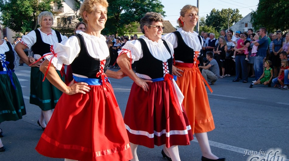 Dnevi češke kulture