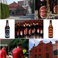 Dnevi piva