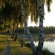 Jezero