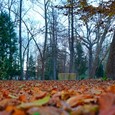 Julijev zdraviliški park
