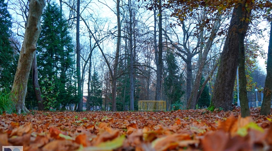 Julijev zdraviliški park