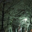 Julijev zdraviliški park