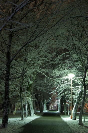 Julijev zdraviliški park