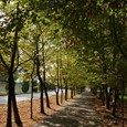 Julijev zdraviliški park