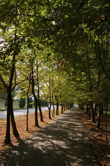 Julijev zdraviliški park