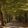 Julijev zdraviliški park