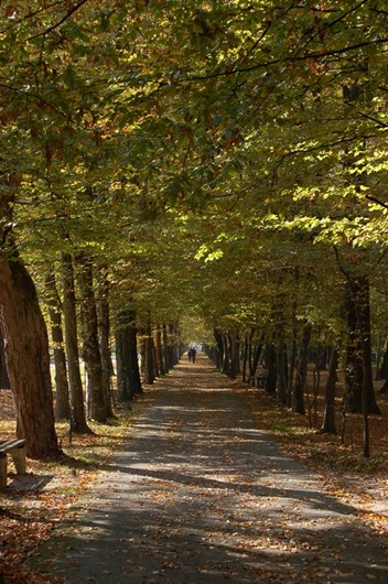 Julijev zdraviliški park