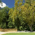 Lječilišni perivoj Julijev park