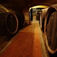 Podrum dvorca Janković, Badel 1862 d.d. Vinarija Daruvar