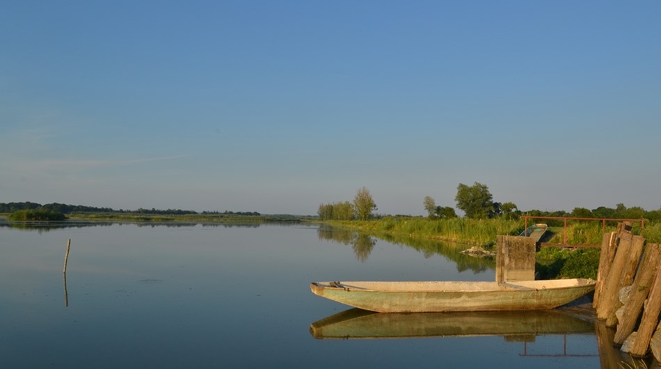 Siniša Biljan