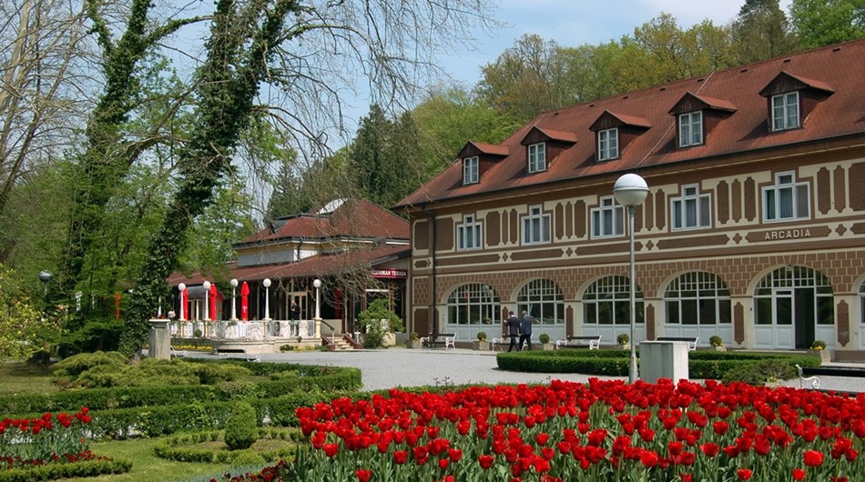 Vila Arcadia