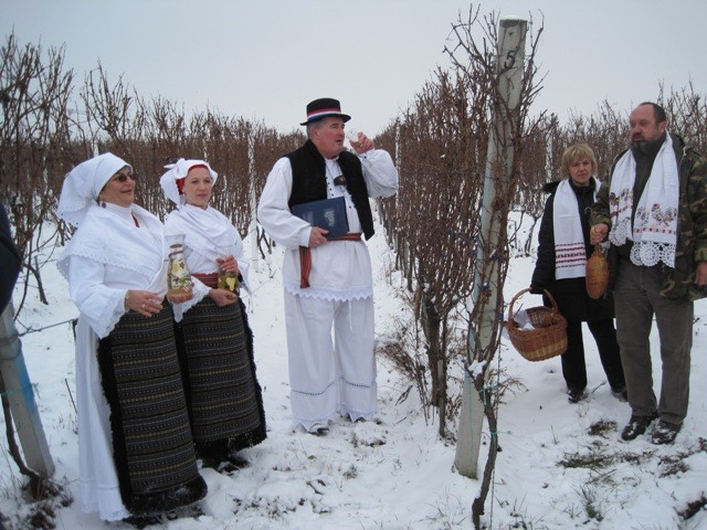 Vincekovo