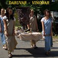 Vinodar