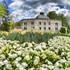 Besplatni vikend francuskog jezika