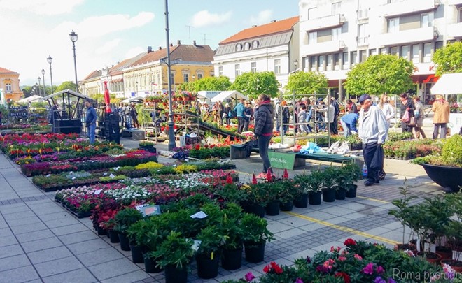 Daruvarski cvjetni sajam
