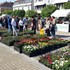 Daruvarski cvjetni sajam - poziv izlagačima