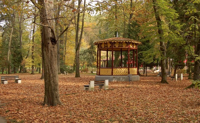 Edukacija