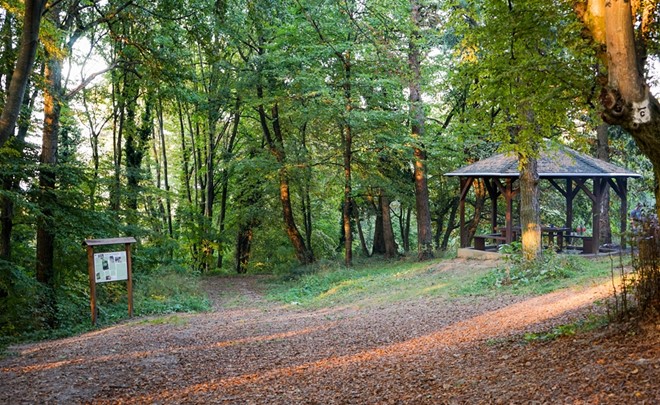 Izložba
