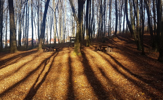 Izložba