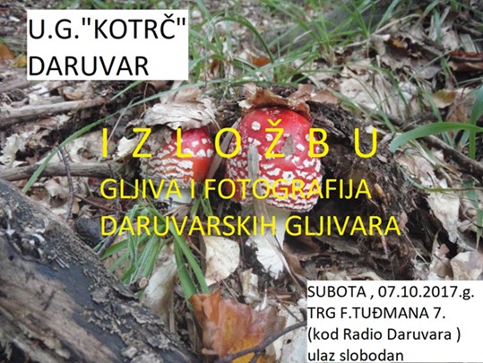 Izložba gljiva