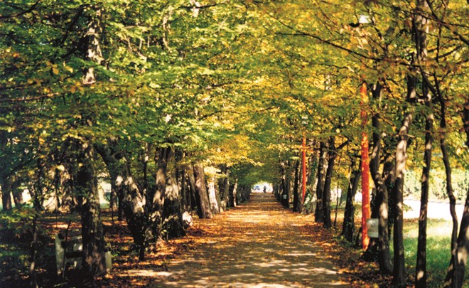 PRIDRUŽI SE ZELENOJ ČISTKI 23. TRAVNJA