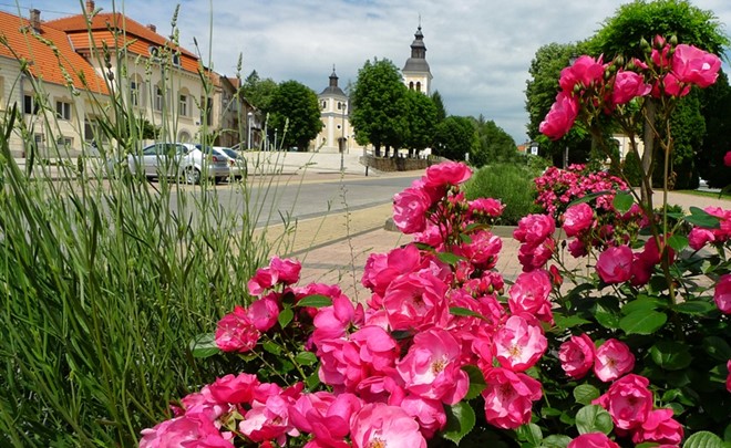 Smotra puhačkih orkestara