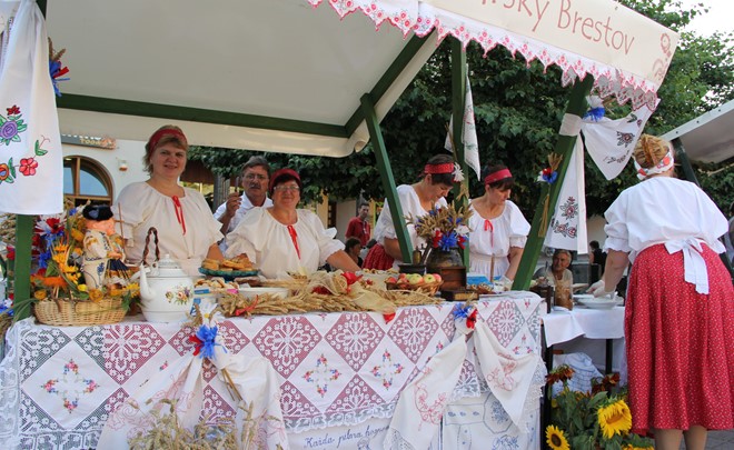 Tjedan češke kulture u Daruvaru