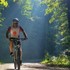 SPRING ROUTE – II faza projekta