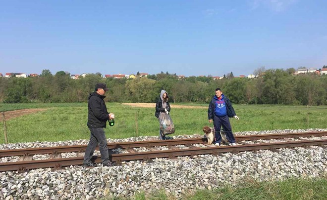Zelena čistka Daruvar 