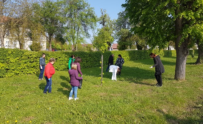 Zelena čistka Daruvar 